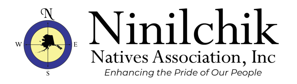 NNAI Logo