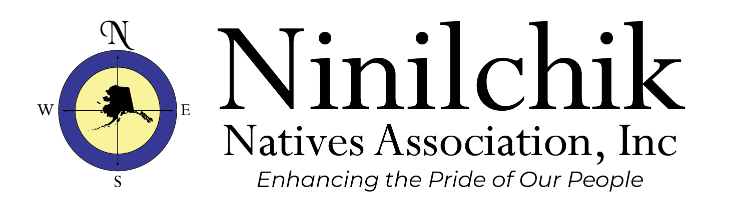 NNAI Logo