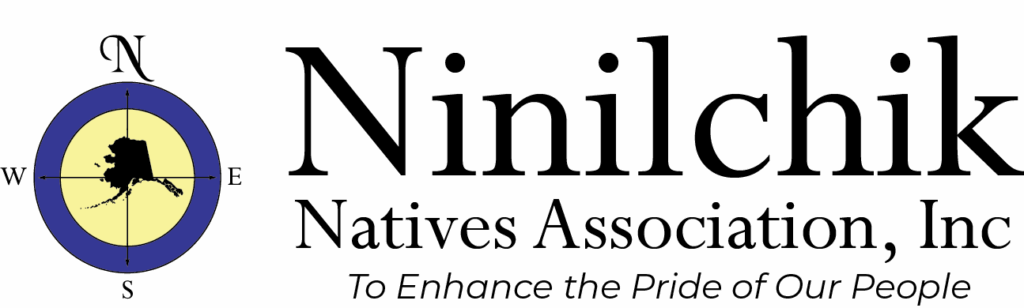 NNAI Logo