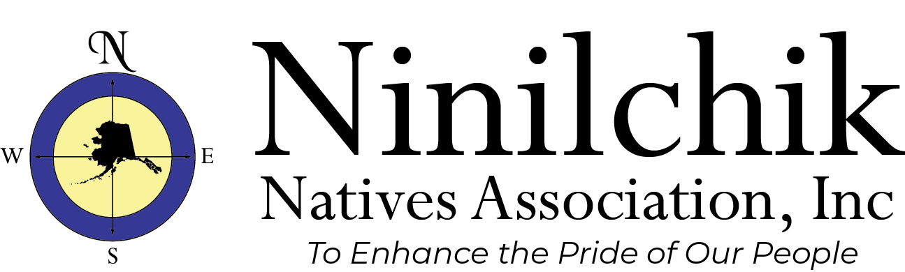 NNAI Logo